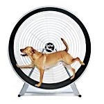 GoPet TreadWheel For Large Dogs Holds 150 Pounds