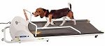 PetRun PR720F Dog Treadmill Holds 132 Pound Dogs