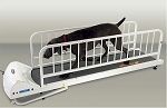 PetRun PR725 Dog Treadmill Hold 175 Pound Dog