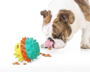Pet Chew Toy Interactive Treat Toy Squeaky Bounce Toy with Rope for Aggressive Dog Chewers - Green