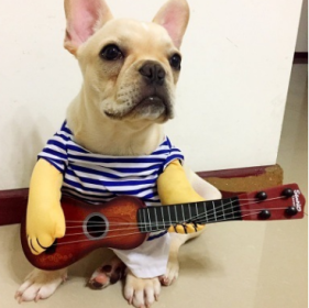 Pet Dog Cat Transformed Clothes Upright Clothes Halloween Pet Dress - Play the guitar - L