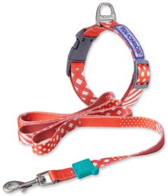 Touchdog 'Trendzy' 2-in-1 Matching Fashion Designer Printed Dog Leash and Collar - Red - Medium