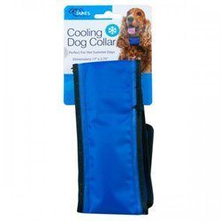Medium Cooling Dog Collar (pack of 6) - KL22797