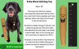B the Blunt 420 Dog Toy - Brown
