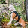 Multi-Use Support Dog Harness, Hiking and Trail Running, Service and Working, Everyday Wear-black XH - S
