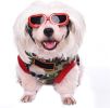 Pet Goggles Dog UV Protection Glasses Waterproof Windproof Anti-Fog Eye Glasses - Red