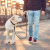 5FT Dog Leash Dog Training Walking Lead w/ Foam Handle Highly Reflective Treads  - Black