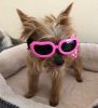Pet Goggles Dog UV Protection Glasses Waterproof Windproof Anti-Fog Eye Glasses - Pink