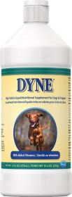 PetAg Dyne High Calorie Liquid Nutritional Supplement for Dogs and Puppies 16oz