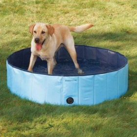 Cool Dog Splash About Dog Pool Multiple Sizes (Size: Medium)