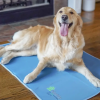 Cool Pet Pad No Electric Needed Multiple Sizes