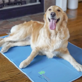 Cool Pet Pad No Electric Needed Multiple Sizes (Size: Extra Small)