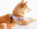 TOUCHDOG 'MACARON' 2-IN-1 DURABLE NYLON DOG HARNESS AND LEASH MULTIPLE SIZES AND COLORS