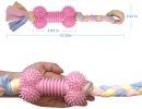 Dog Chew Toy With Cotton Rope Natural Rubber Cleans Molars