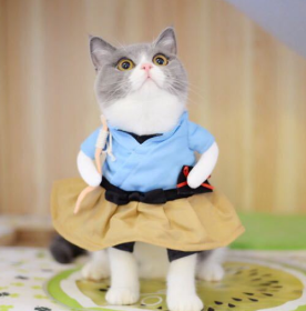 Pet Dog Cat Transformed Clothes Upright Clothes Halloween Pet Dress (Color: Blue, Size: Medium)
